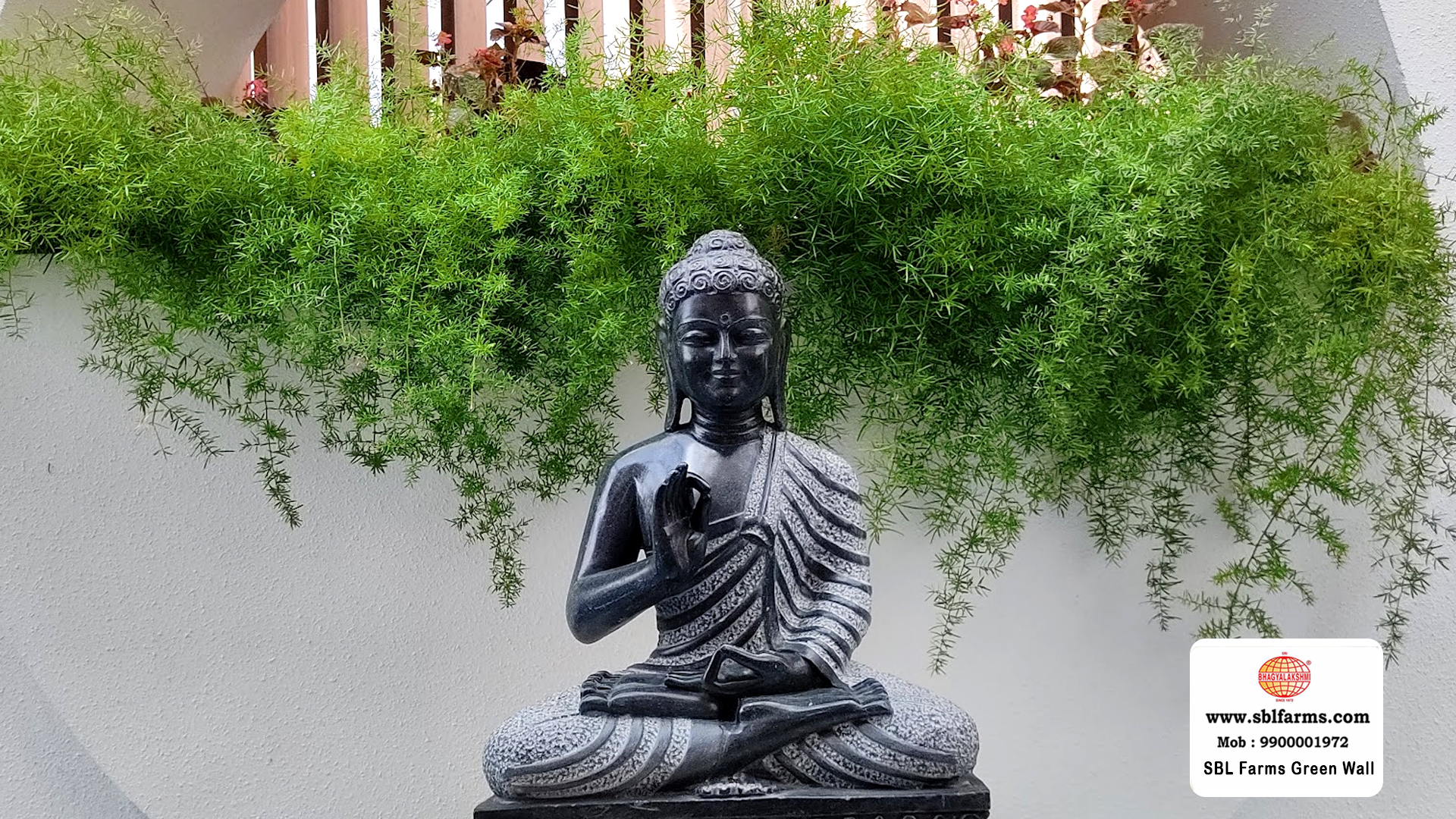 Sbl Farms Green walls and Living walls, Vertical Garden, Bio Curtains,Green wall or vertical garden design for home in bangalore